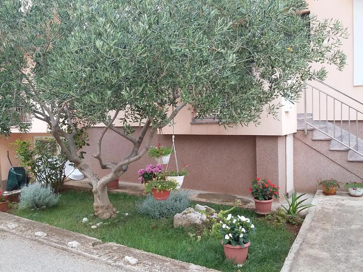 Apartments Ivan Zadar 0*,
